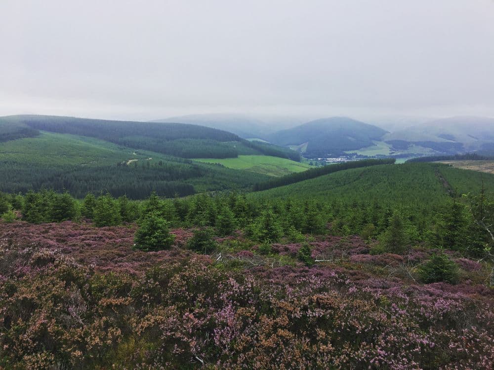 Top of minch moor